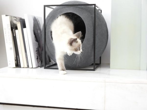 Le Cube Meyou