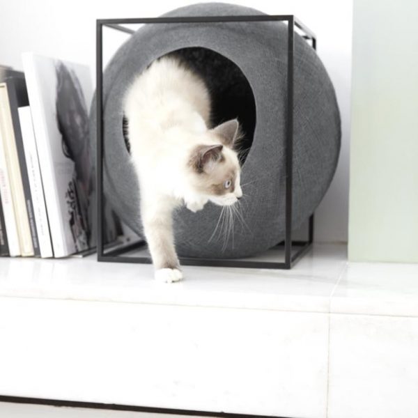 Le Cube Meyou
