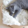 Couverture plaid pour chat Lana