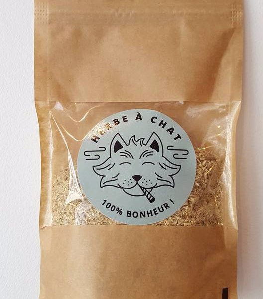 Herbe à chat séchée - cataire ou catnip