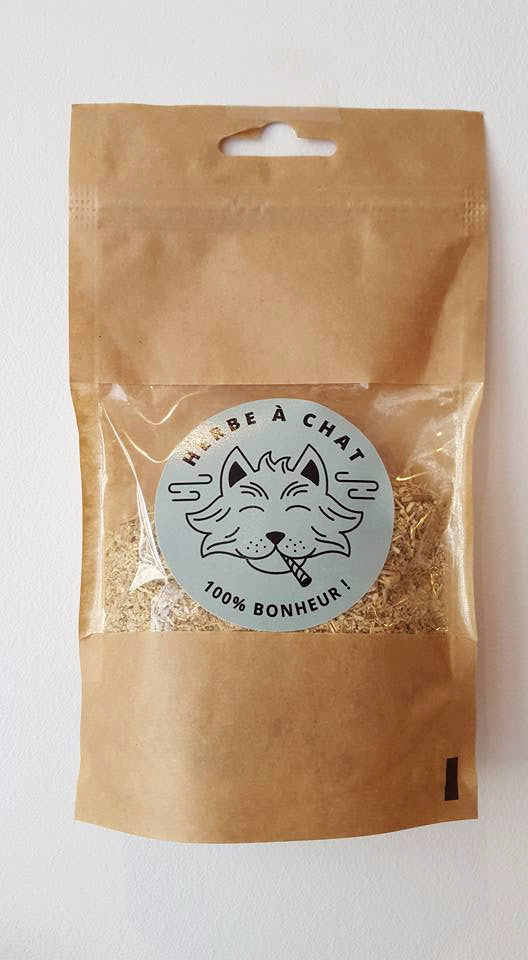 Herbe à chat séchée - cataire ou catnip
