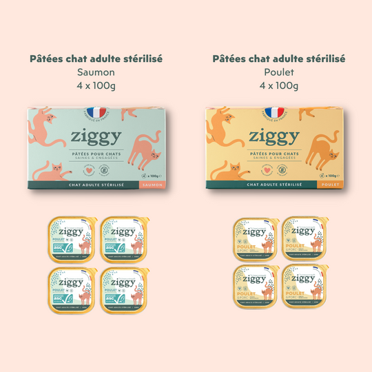 Pâtée Chat Adulte Stérilisé au poulet Ziggy