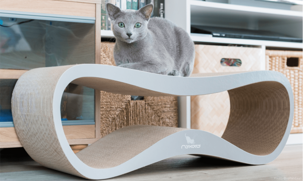 Griffoir pour chat design LUI My Kotty