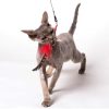 Canne à pêche pour chat (jouets interchangeables)