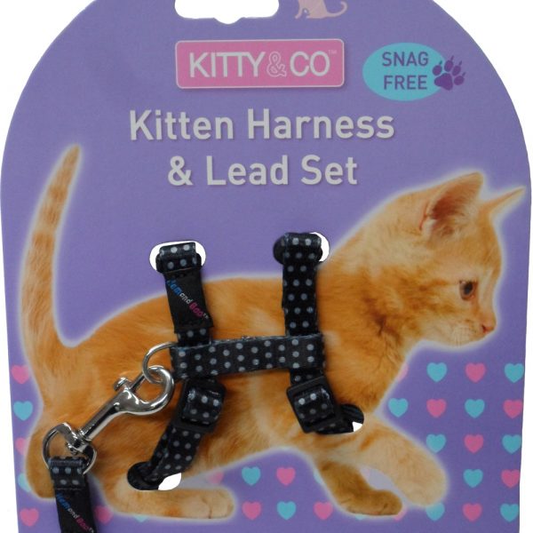 Harnais et laisse à pois pour chaton