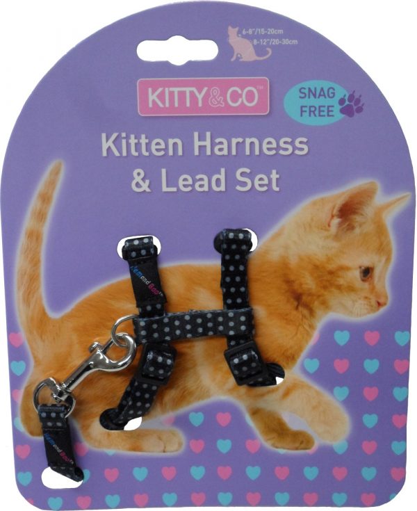 Harnais et laisse à pois pour chaton