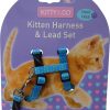 Harnais et laisse à pois pour chaton