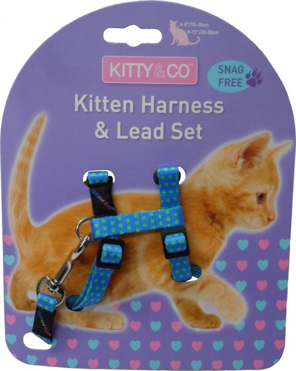 Harnais et laisse à pois pour chaton
