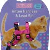 Harnais et laisse à pois pour chaton
