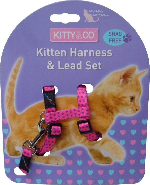 Harnais et laisse à pois pour chaton