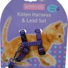 Harnais et laisse à pois pour chaton