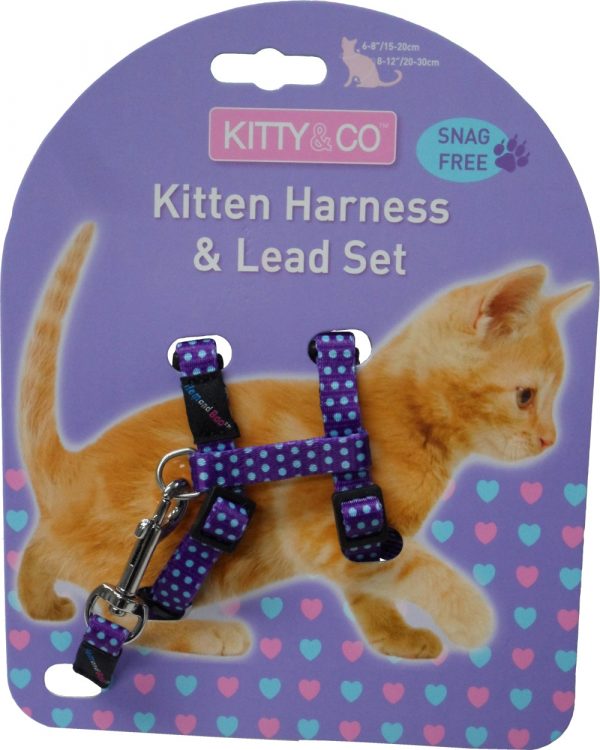 Harnais et laisse à pois pour chaton