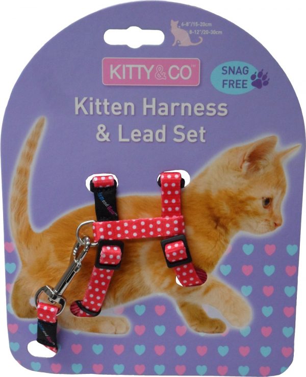 Harnais et laisse à pois pour chaton