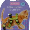 Harnais et laisse à pois pour chaton
