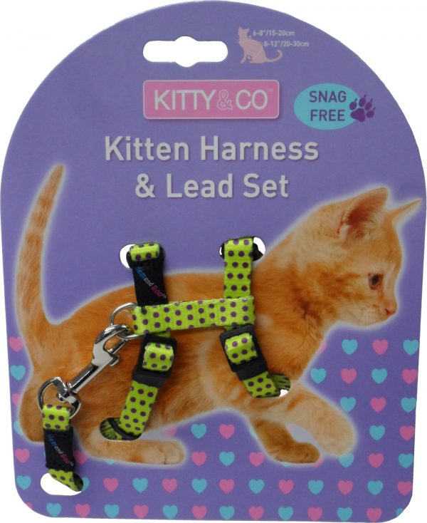 Harnais et laisse à pois pour chaton