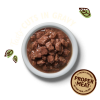 Repas pour chat poisson sauce gravy