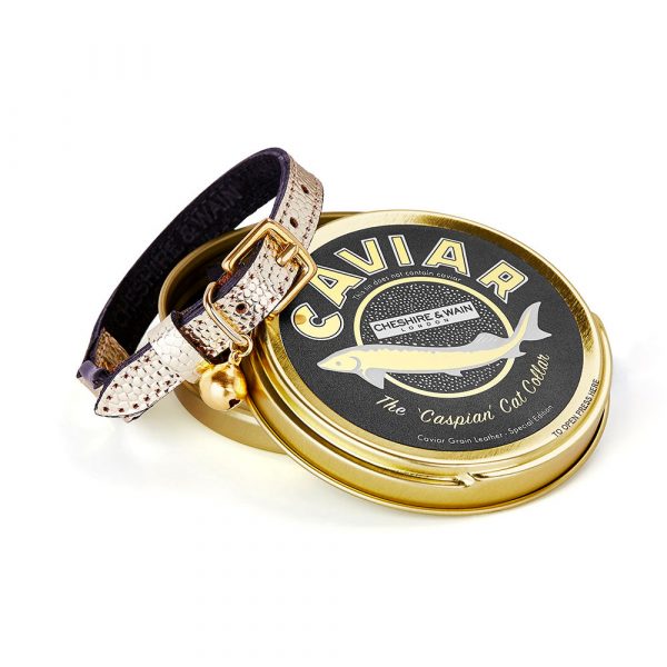 Collier pour chat en cuir Caspian