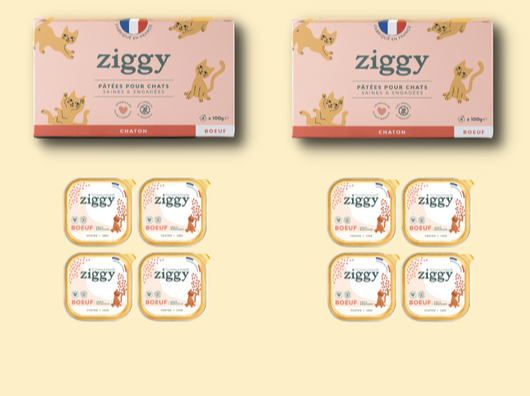 Pâtée Chaton boeuf Ziggy