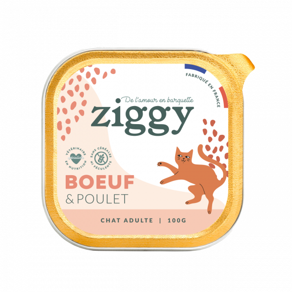Pâtée pour chat au boeuf