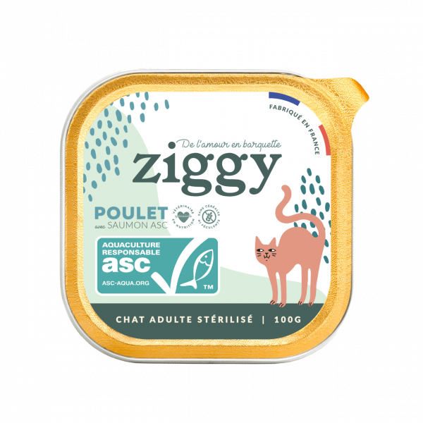 Pâtée Chat Adulte Stérilisé avec du saumon Ziggy