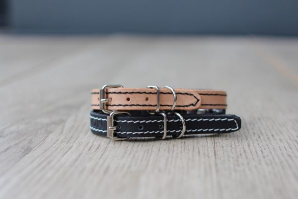 Collier en cuir pour chat