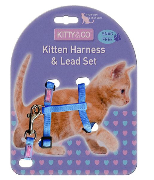 Harnais réglable et laisse pour chaton