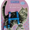 Harnais et Laisse couleur unie pour chat