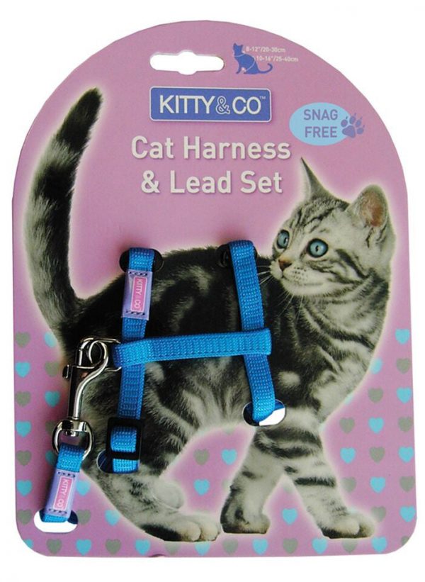 Harnais et Laisse couleur unie pour chat