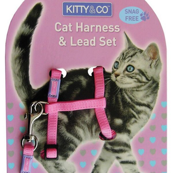 Harnais et Laisse couleur unie pour chat