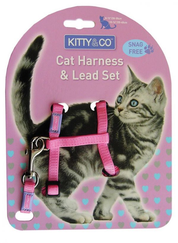 Harnais et Laisse couleur unie pour chat