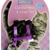 Harnais et Laisse couleur unie pour chat