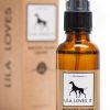 Argent colloïdal pour chien et chat