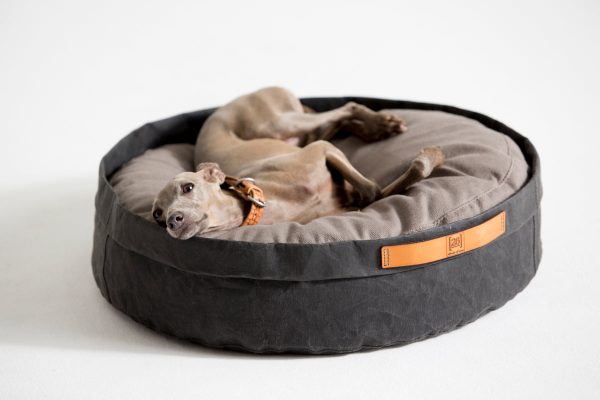 Coussin pour chat et chien Irvin (3 couleurs)