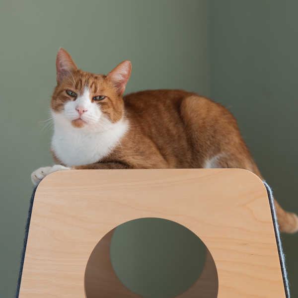 Arbre à chat en bois MIKS Tower