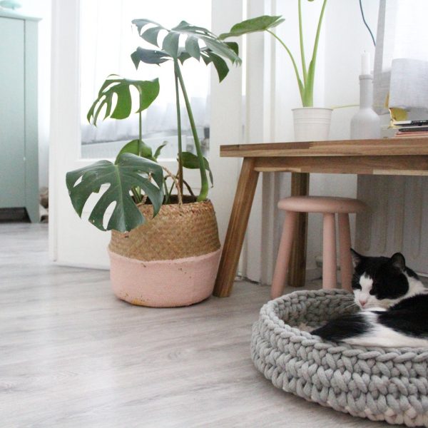 Panier pour chat Nido