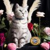 Collier pour chat en cuir Royal Caviar