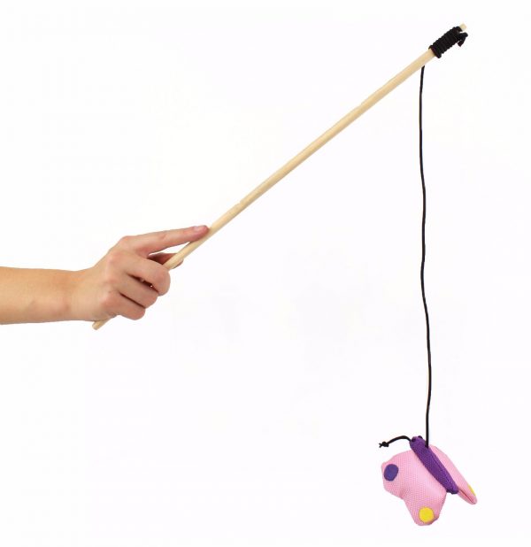 Canne à pêche à l'herbe à chat séchée