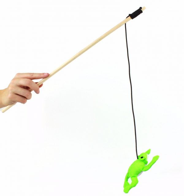 Canne à pêche à l'herbe à chat séchée