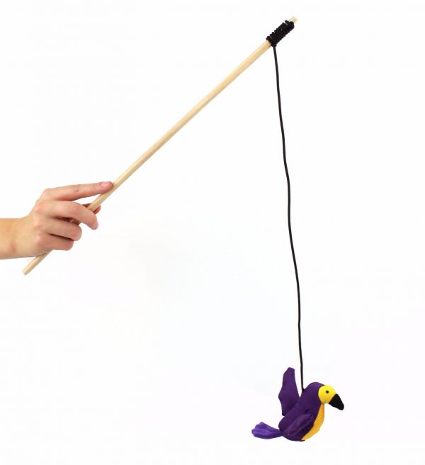 Canne à pêche à l'herbe à chat séchée