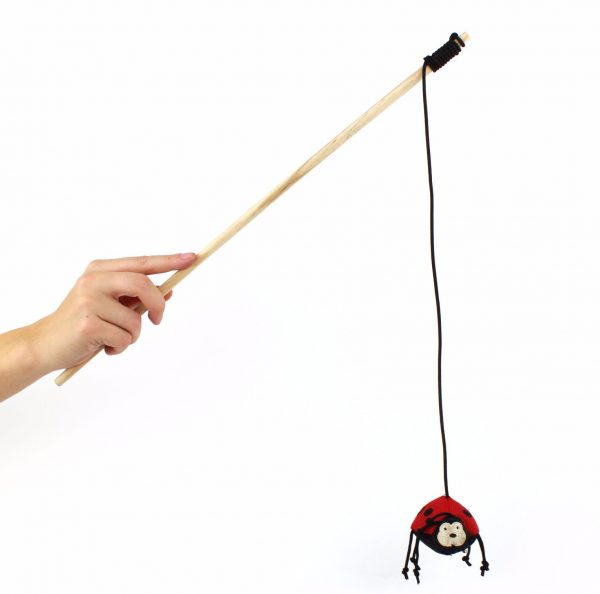 Canne à pêche à l'herbe à chat séchée
