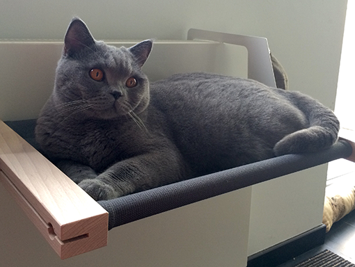 Hamac pour chat Woozy