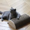 Griffoir pour chat demi-rond Homycat