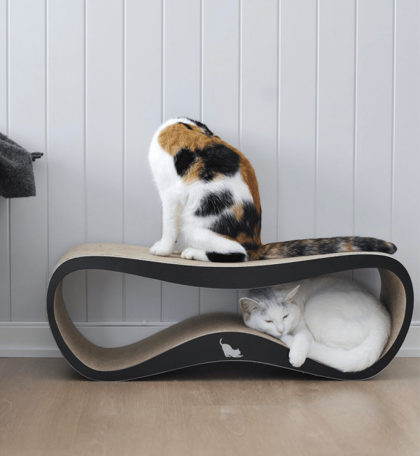 Griffoir pour chat design LUI My Kotty