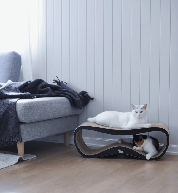 Griffoir pour chat design LUI My Kotty