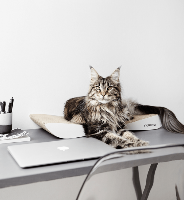 Griffoir en carton pour chat design TOBI