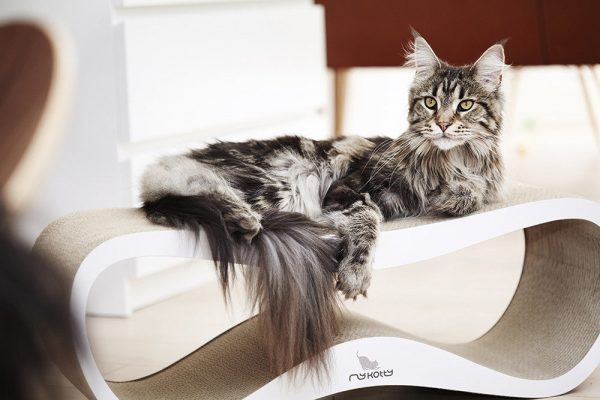 Griffoir pour chat design LUI My Kotty