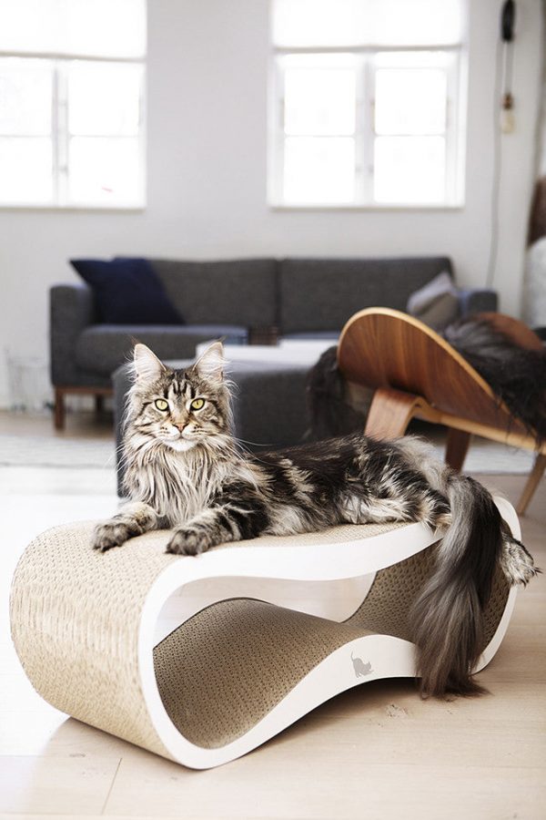 Griffoir pour chat design LUI My Kotty