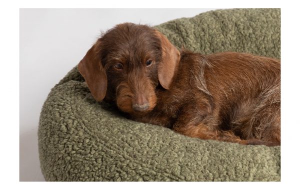Coussin apaisant pour chien en laine