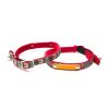 Collier pour chat Lucky dog