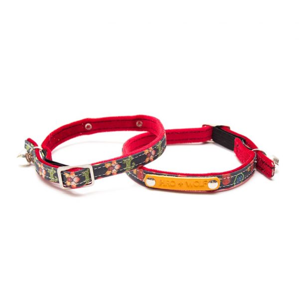 Collier pour chat Lucky dog